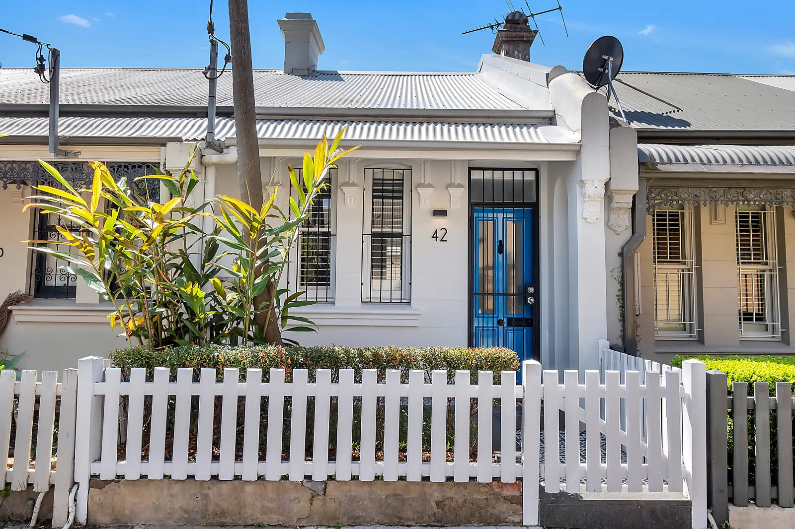 42 Caledonia Street, Paddington Sold by Bradfield Badgerfox - image 1