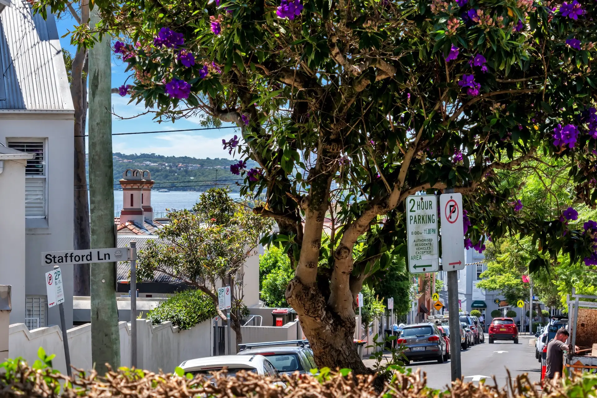 27 Heeley Street, Paddington Sold by Bradfield Badgerfox - image 1