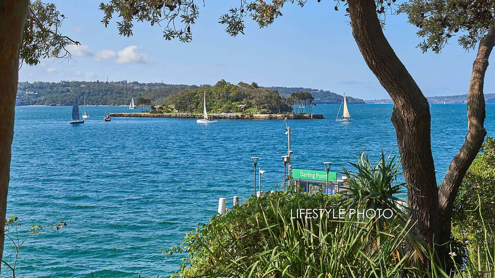 8B/13 Thornton Street, Darling Point Sold by Bradfield Badgerfox - image 1