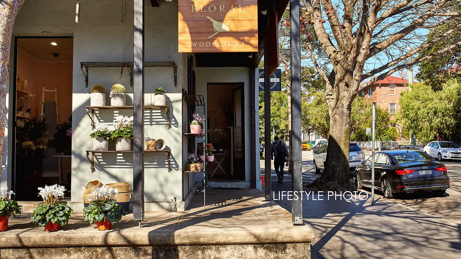 4/29A Nelson Street, Woollahra Sold by Bradfield Badgerfox - image 1