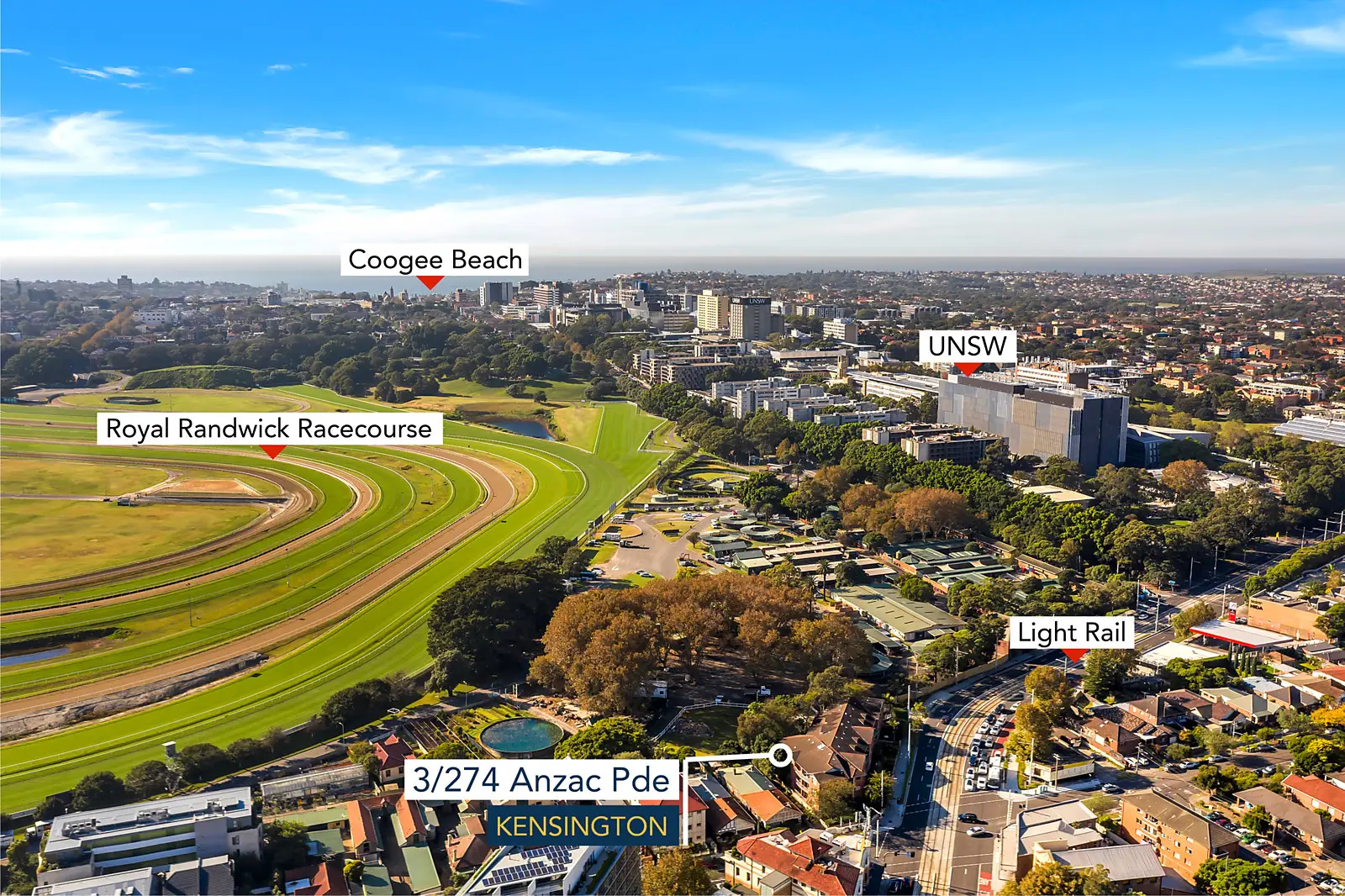 3/274-300 Anzac Parade, Kensington Sold by Bradfield Badgerfox - image 1