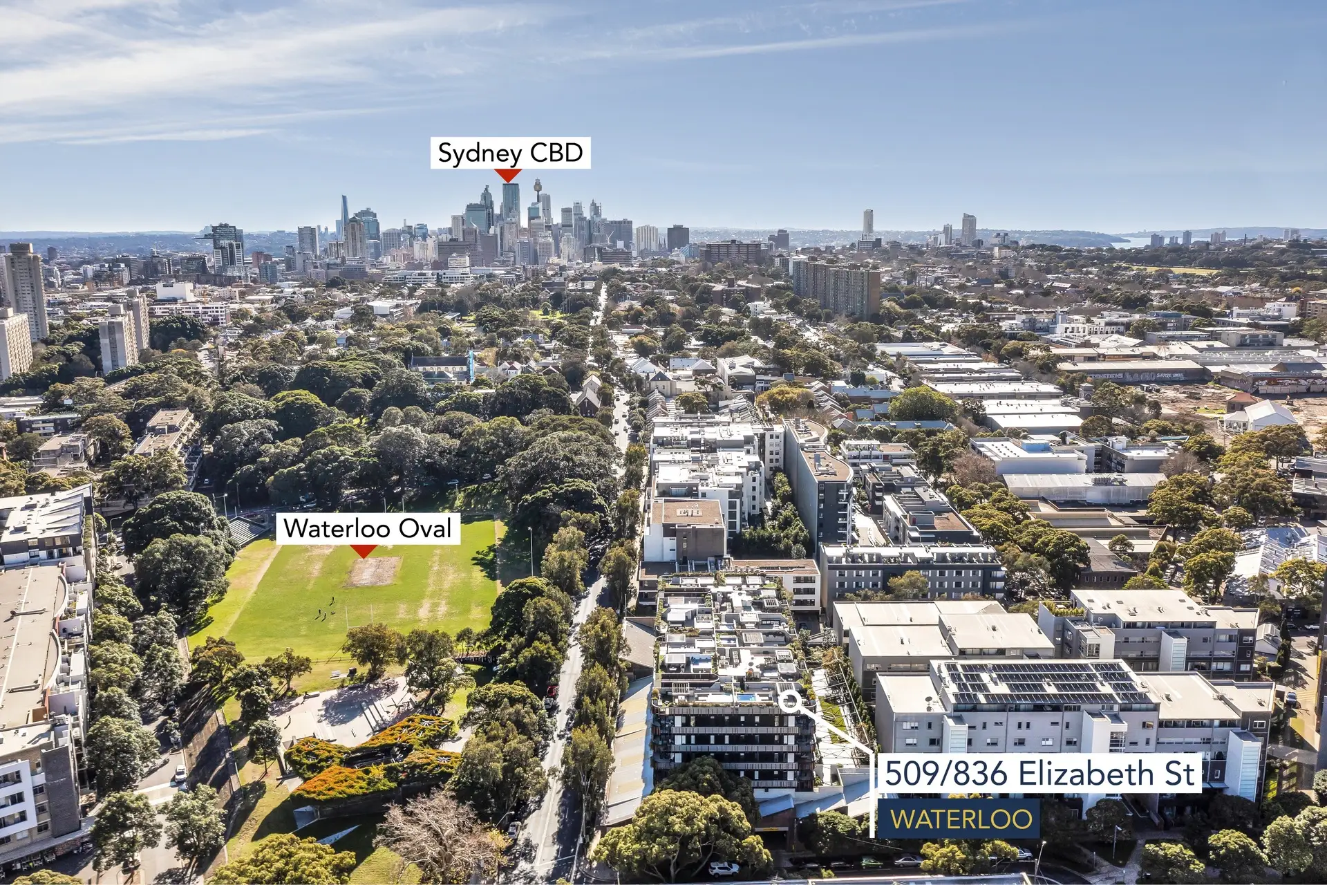 509/836 Elizabeth Street, Waterloo Sold by Bradfield Badgerfox - image 1