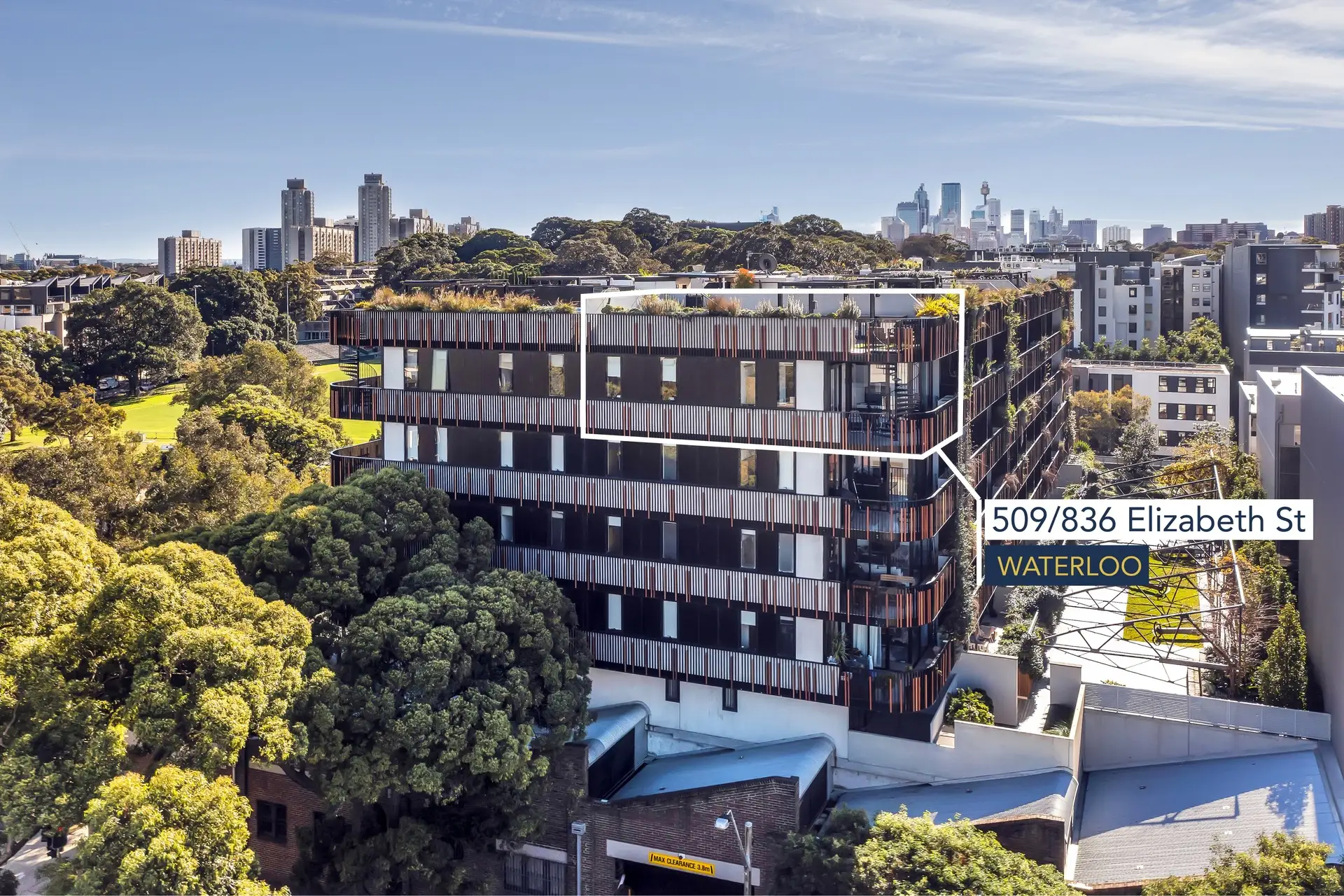 509/836 Elizabeth Street, Waterloo Sold by Bradfield Badgerfox - image 1