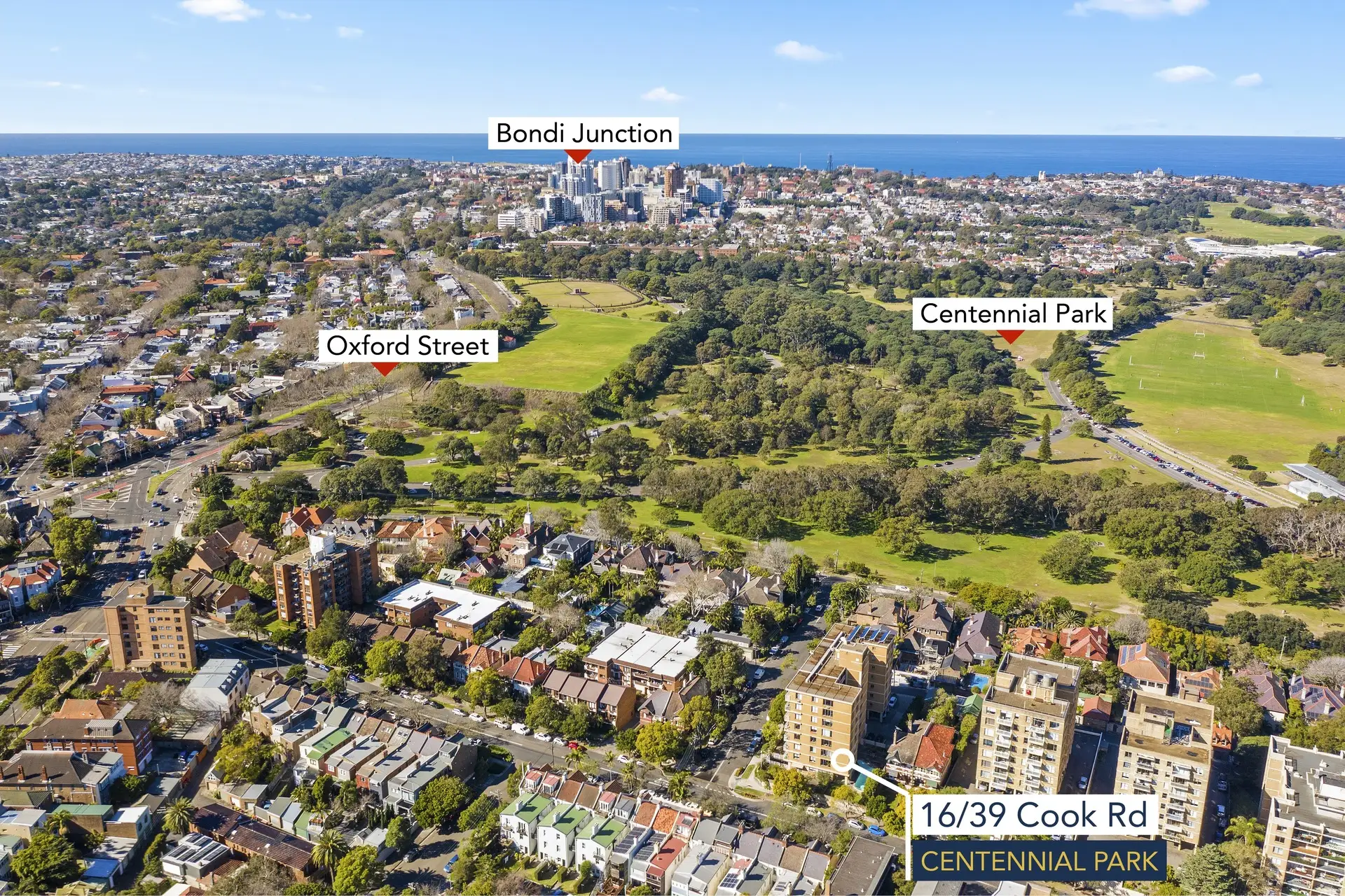 16/39-43 Cook Road, Centennial Park Sold by Bradfield Badgerfox - image 1