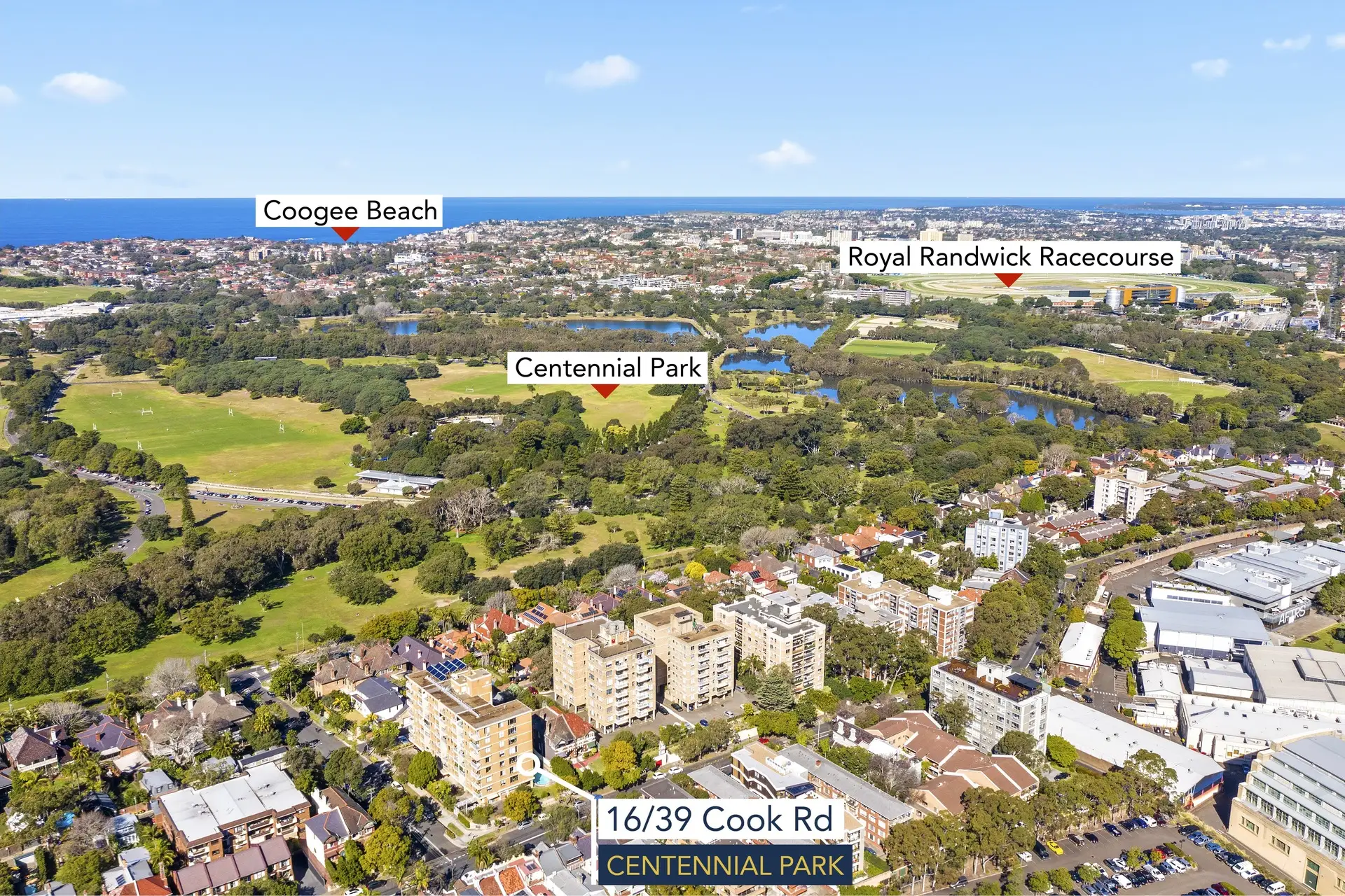 16/39-43 Cook Road, Centennial Park Sold by Bradfield Badgerfox - image 1