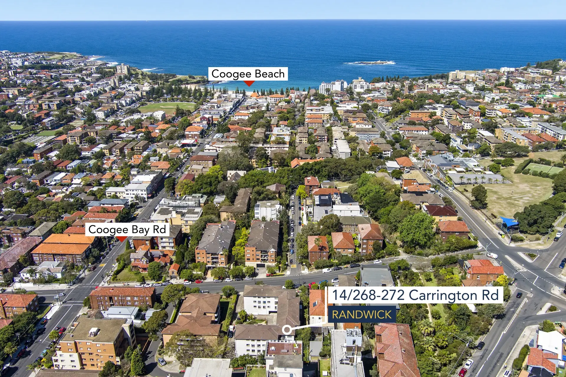14/268 Carrington Road, Randwick Sold by Bradfield Badgerfox - image 1