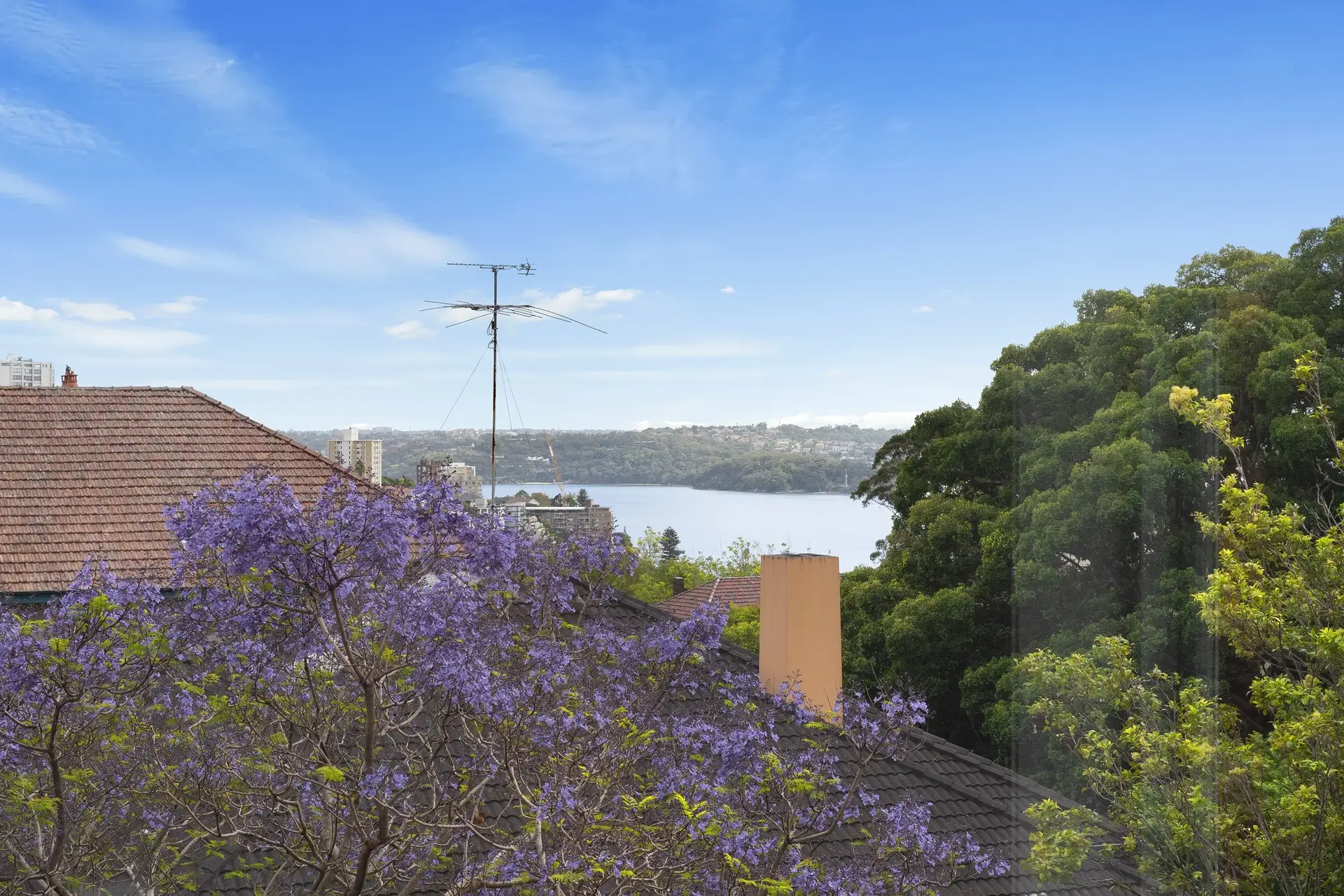 4/414 Edgecliff Road, Woollahra Sold by Bradfield Badgerfox - image 1