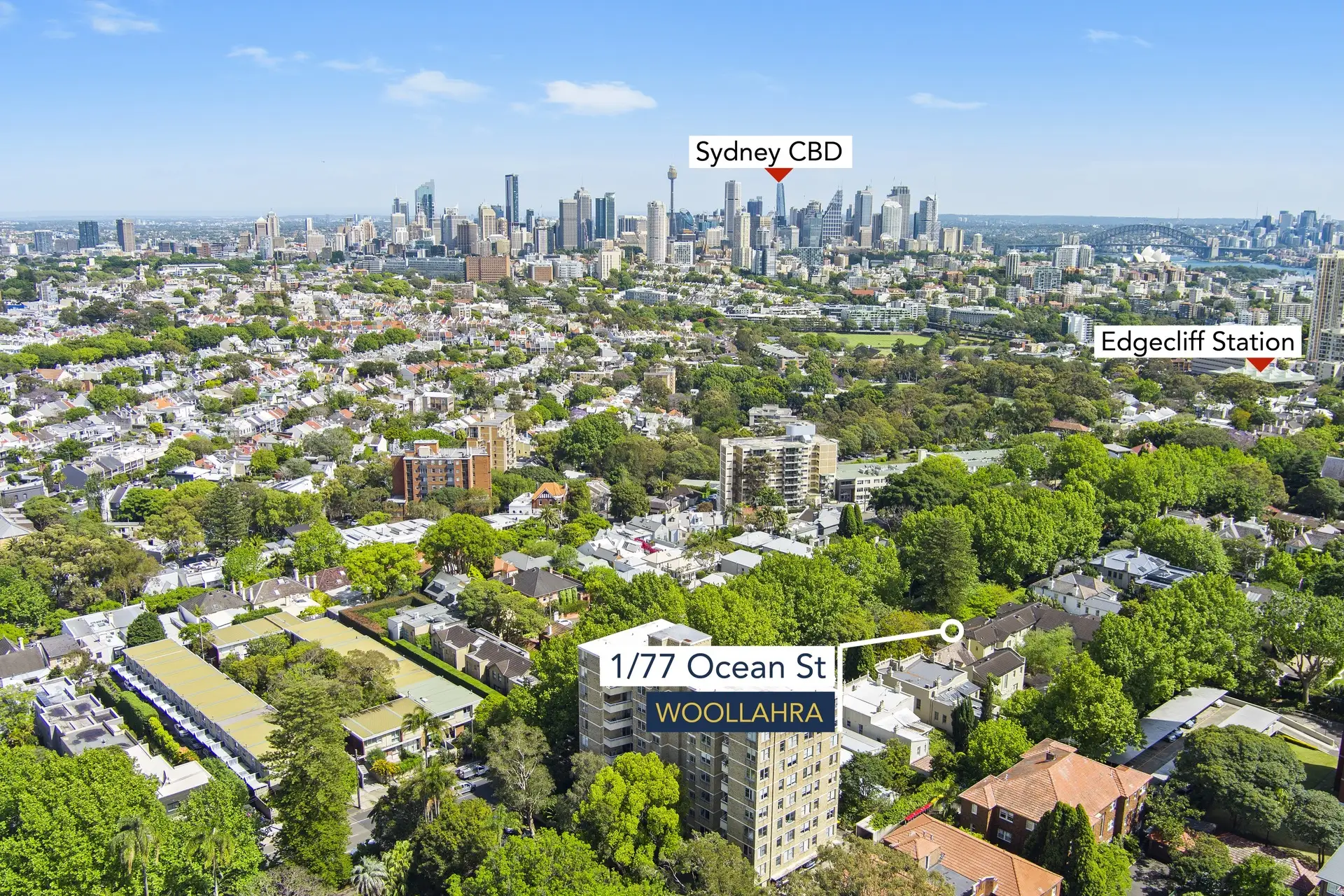 1/77-79 Ocean Street, Woollahra Sold by Bradfield Badgerfox - image 1