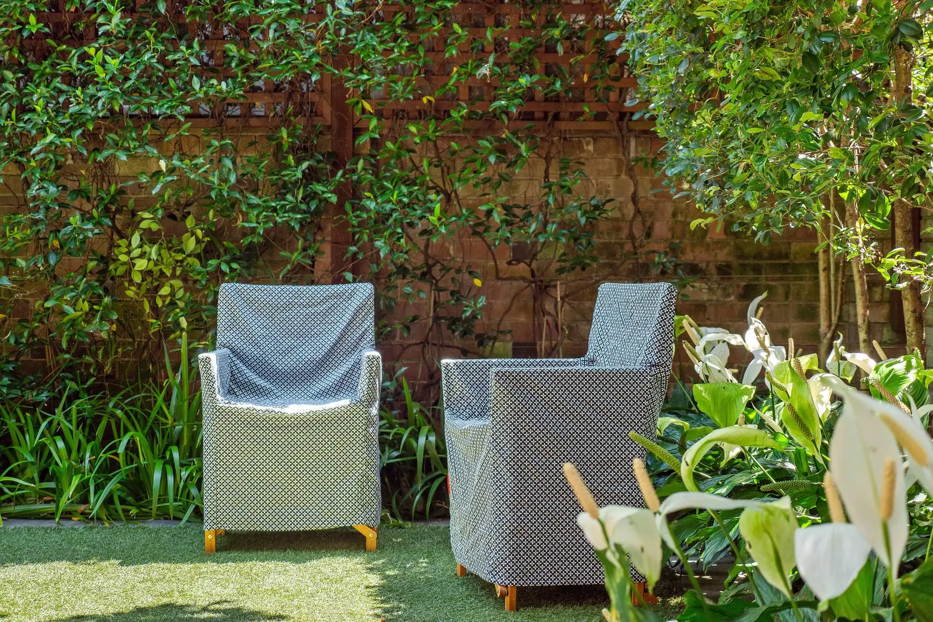 3/5 Trelawney Street, Woollahra Sold by Bradfield Badgerfox - image 1