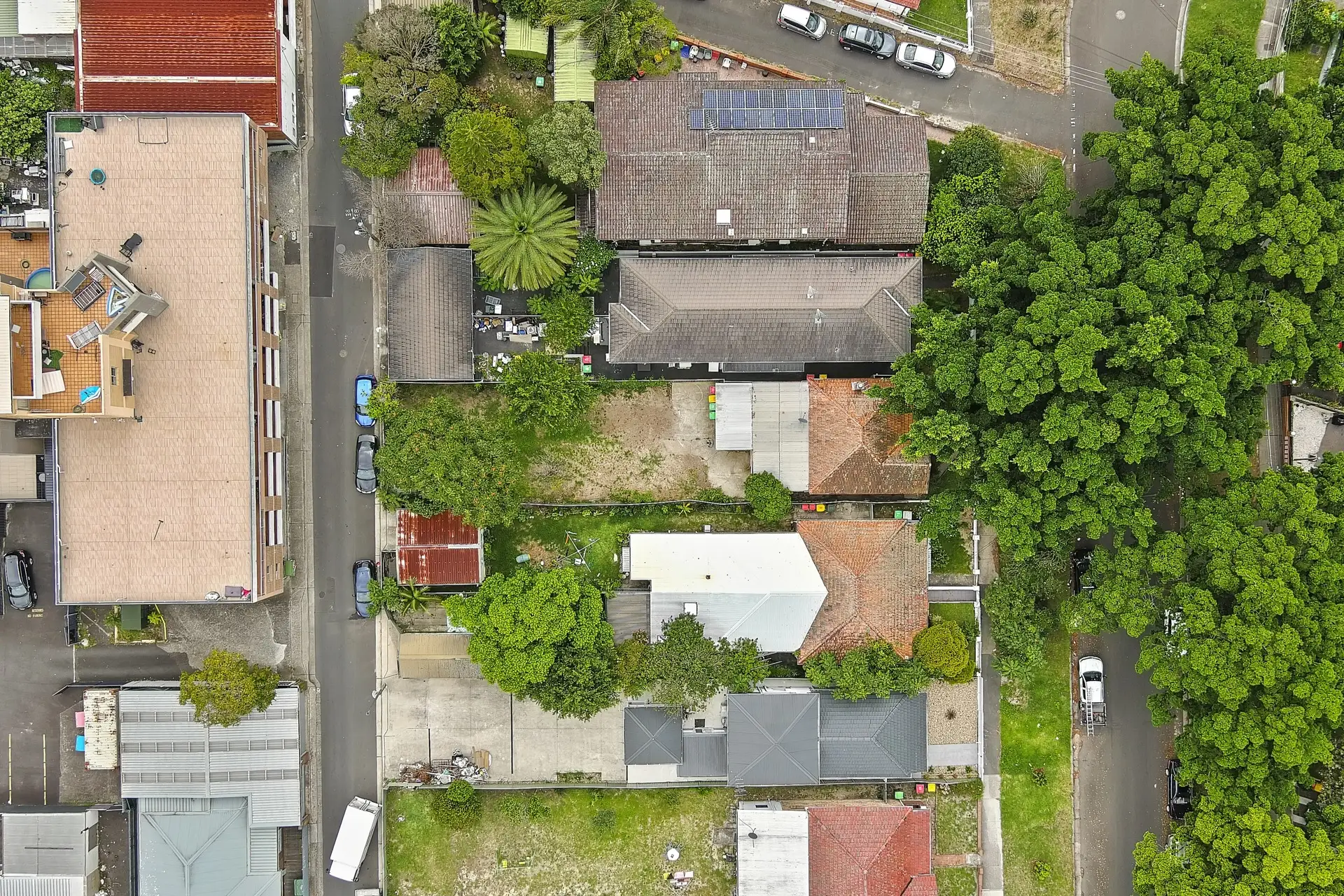 10 Harbourne Road, Kingsford Sold by Bradfield Badgerfox - image 1