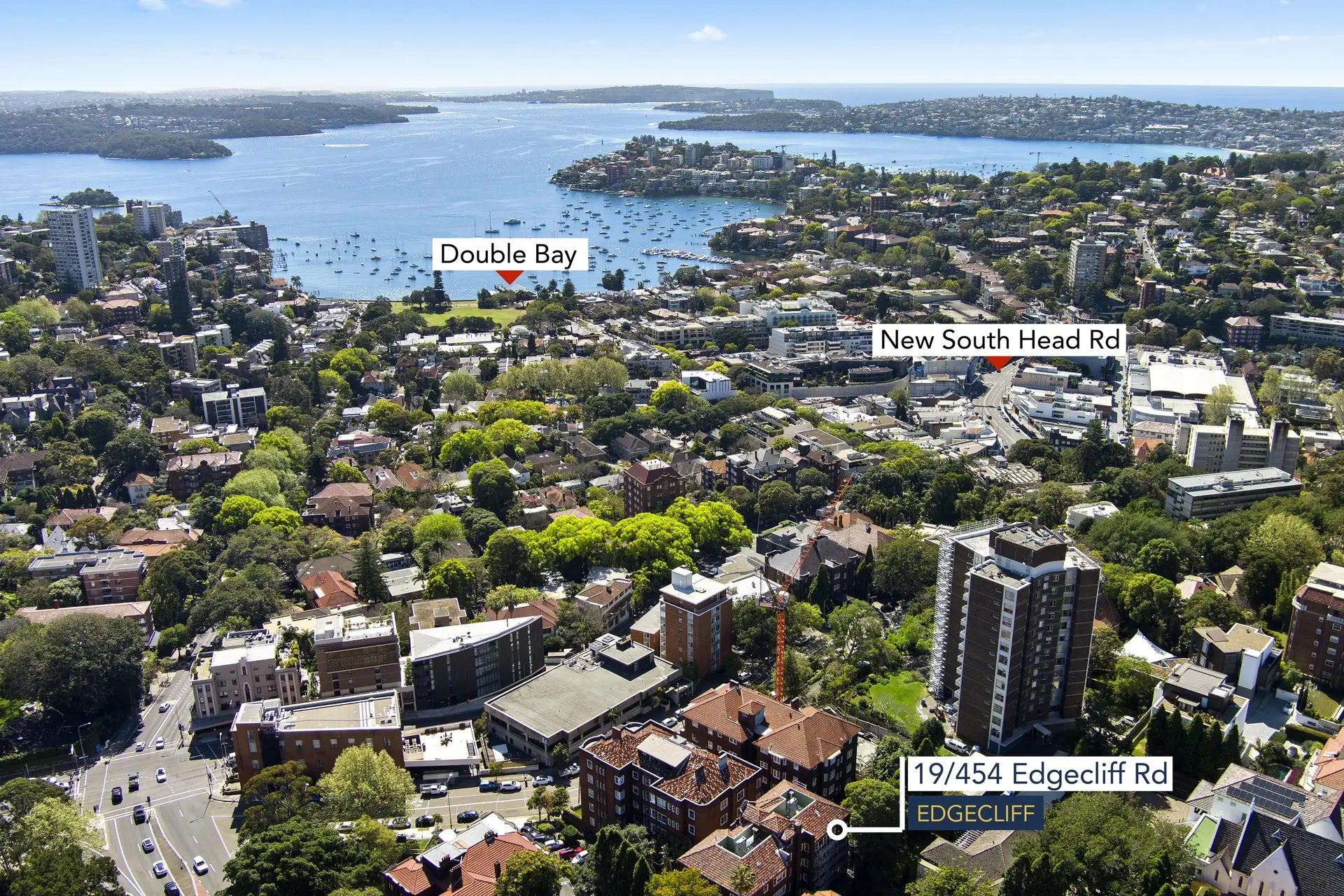 19/454 Edgecliff Road, Edgecliff Sold by Bradfield Badgerfox - image 1