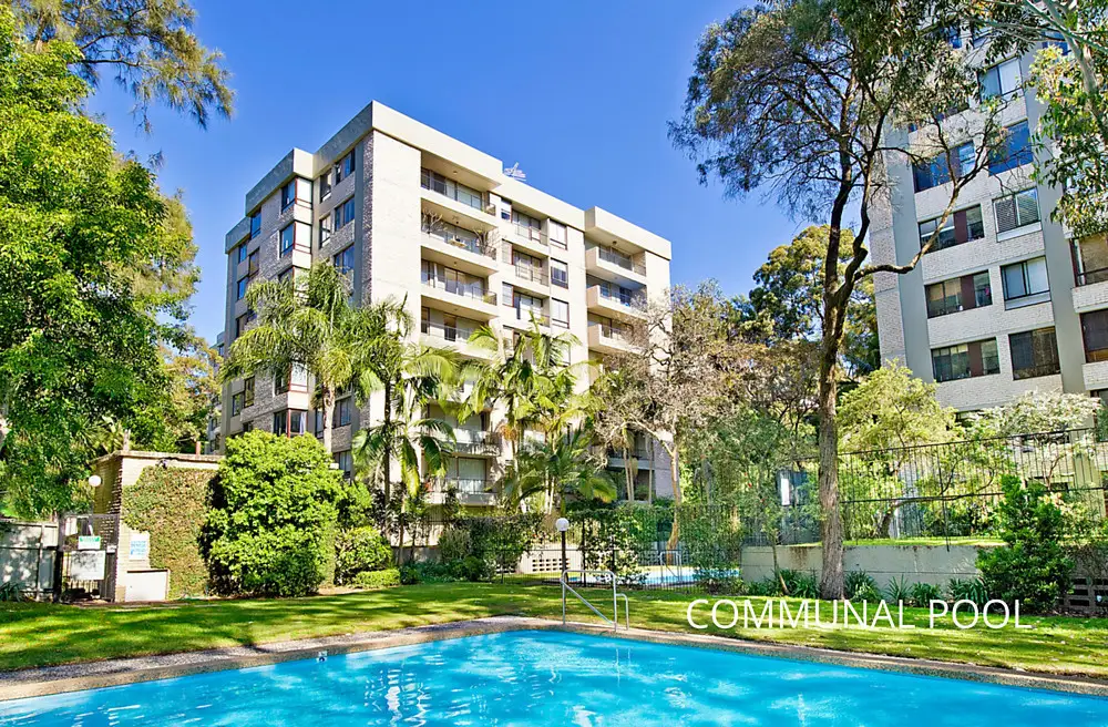 2F/6 Hampden Street, Paddington Sold by Bradfield Badgerfox - image 1