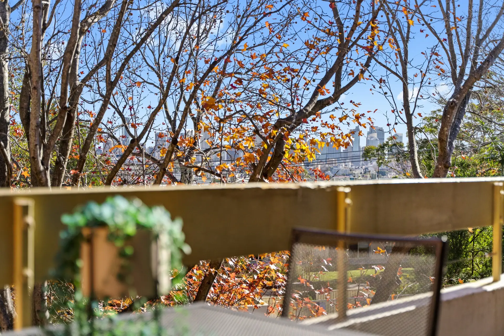 18/143 Jersey Road, Woollahra Sold by Bradfield Badgerfox - image 1