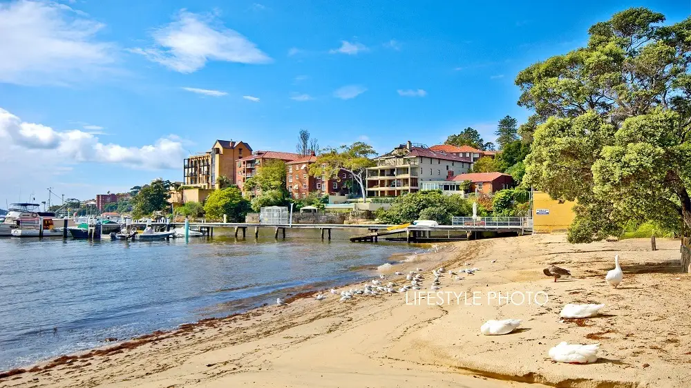 8/351 Edgecliff Road, Edgecliff Sold by Bradfield Badgerfox - image 1