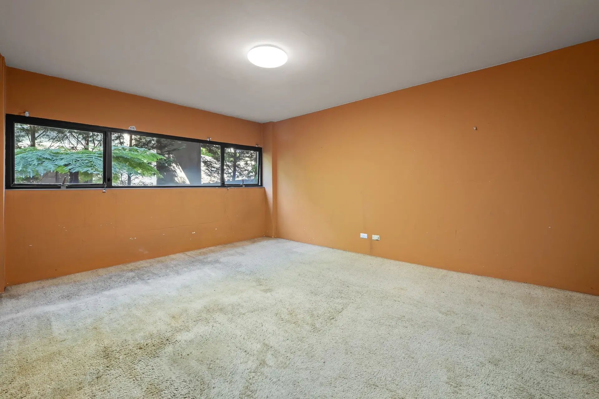 8/351 Edgecliff Road, Edgecliff Sold by Bradfield Badgerfox - image 1