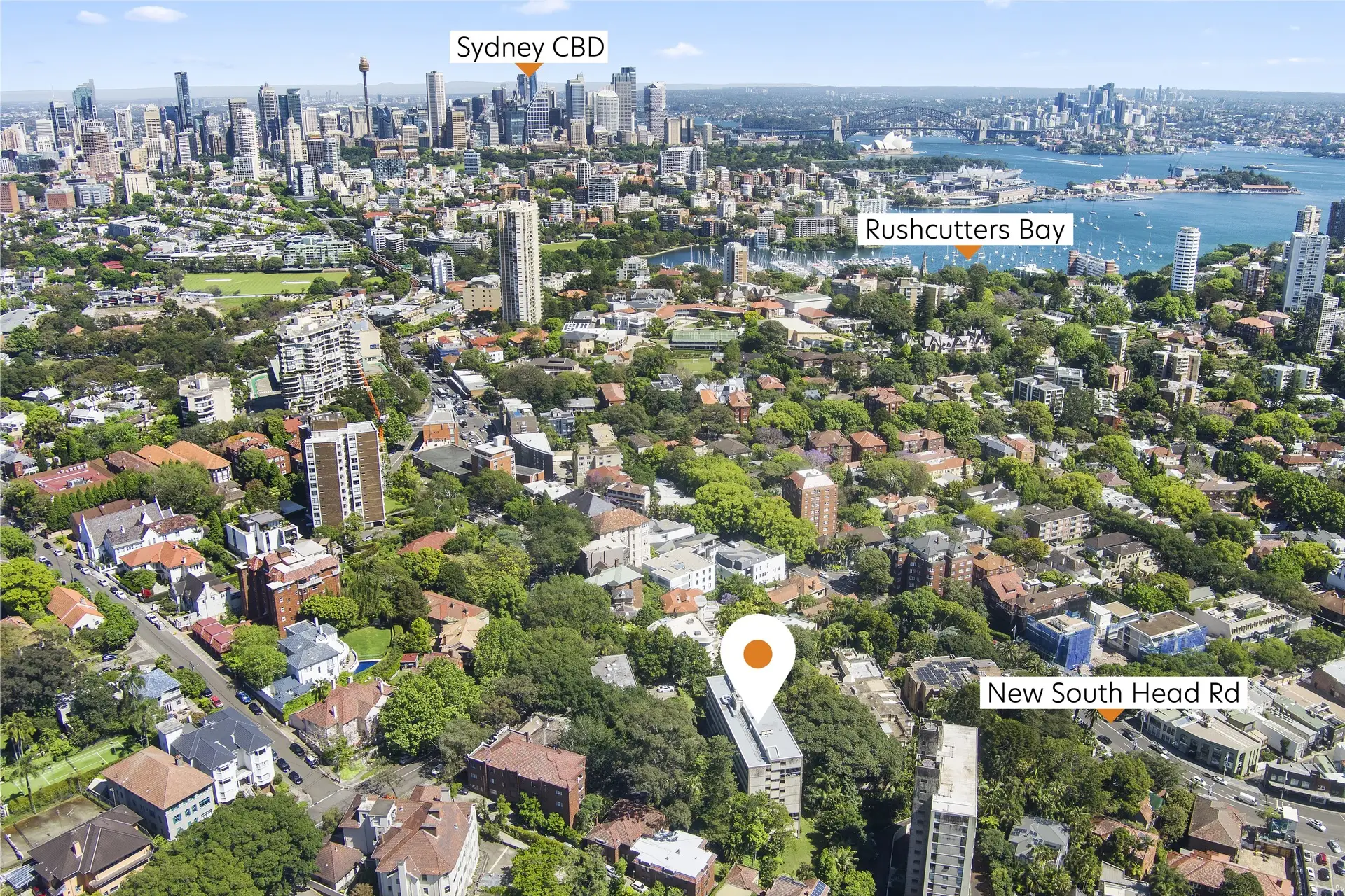 8/351 Edgecliff Road, Edgecliff Sold by Bradfield Badgerfox - image 1