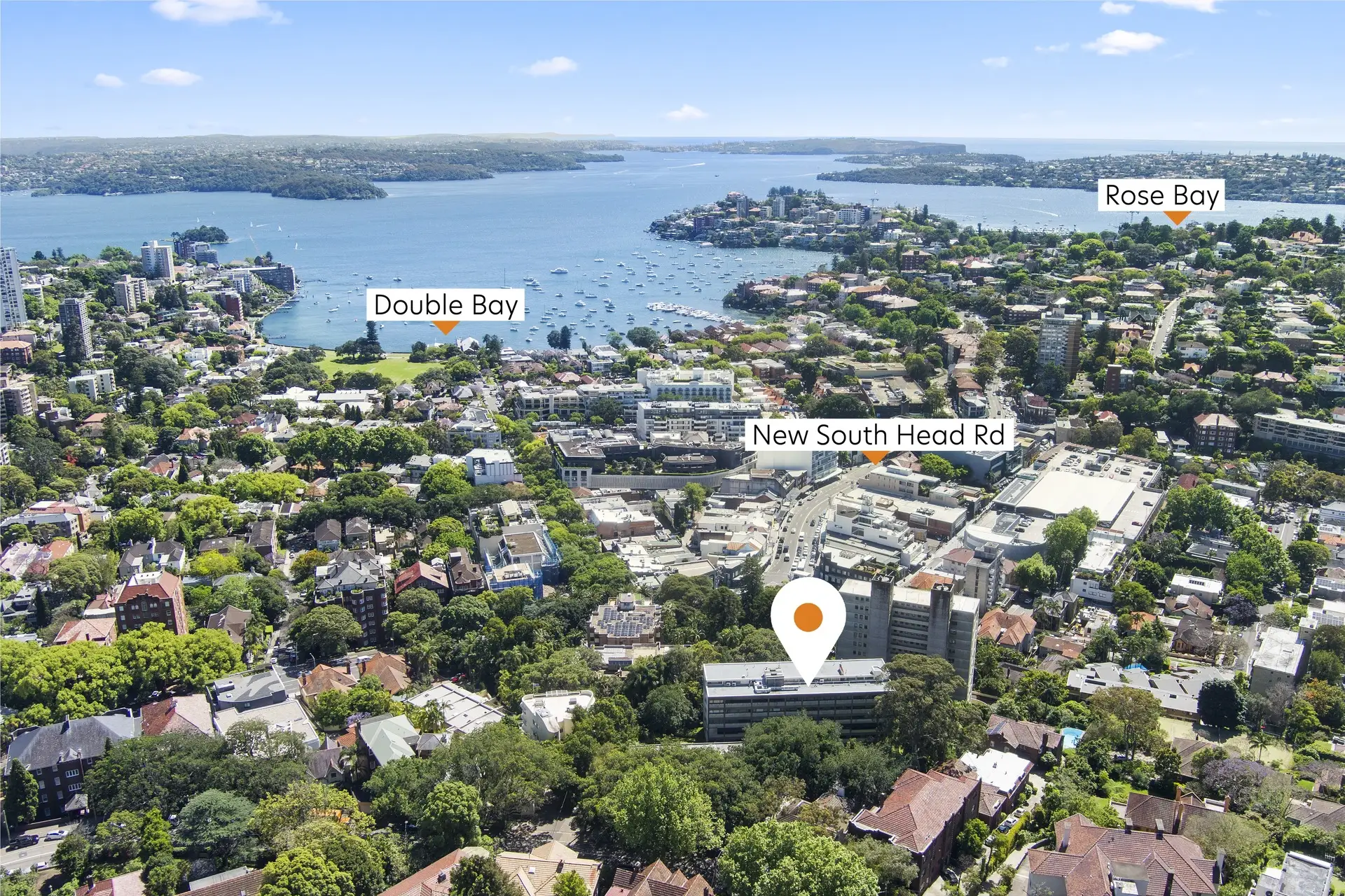 7/351 Edgecliff Road, Edgecliff Sold by Bradfield Badgerfox - image 1