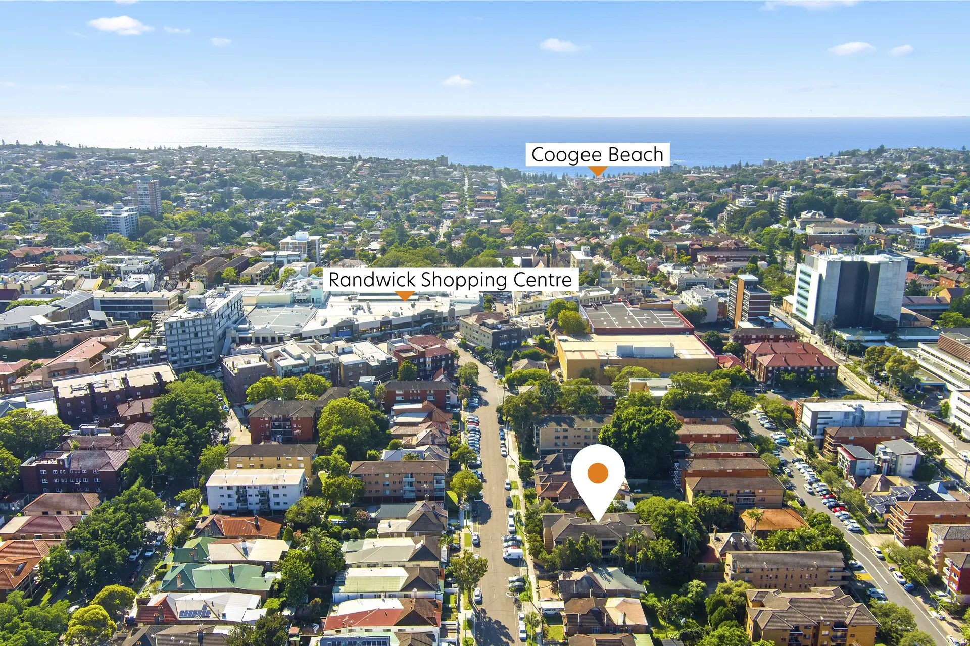 46-48 Arthur Street, Randwick Sold by Bradfield Badgerfox - image 1