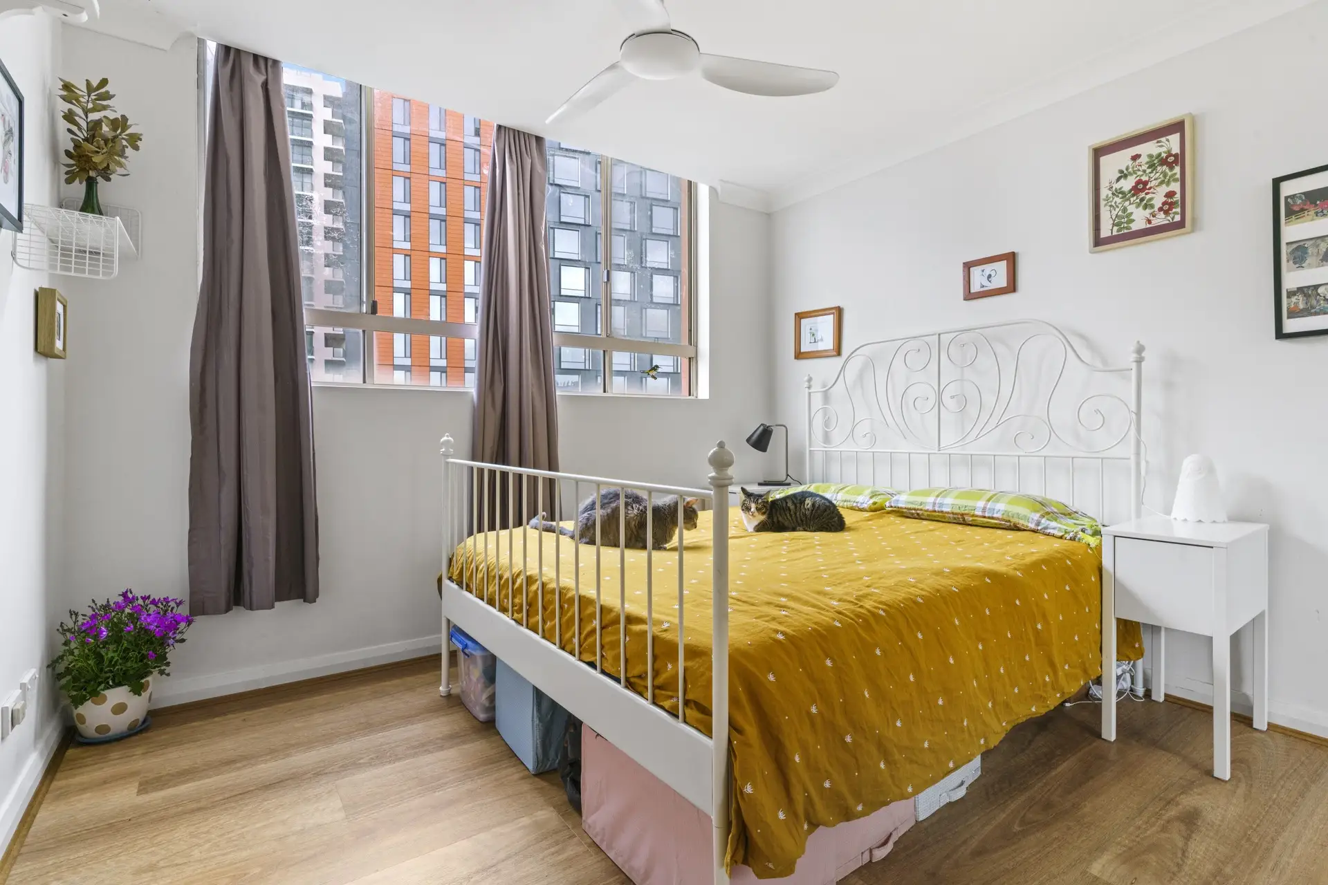 22/13 Cope Street, Redfern Sold by Bradfield Badgerfox - image 1
