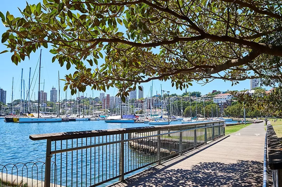 6/29-31 Waratah Street, Rushcutters Bay Sold by Bradfield Badgerfox - image 1