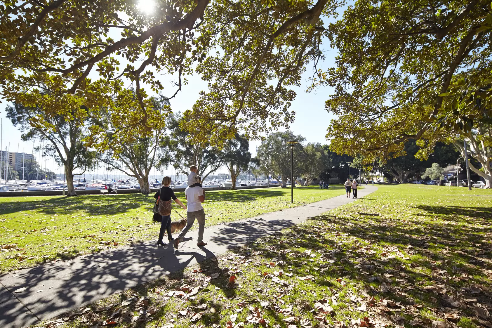 6/29-31 Waratah Street, Rushcutters Bay Sold by Bradfield Badgerfox - image 1