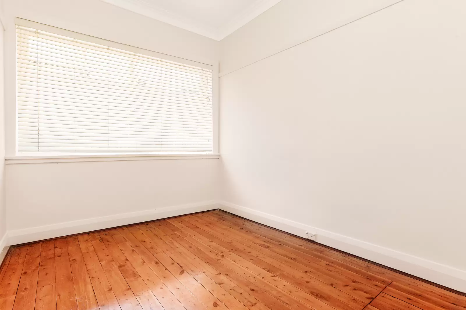 3/21 Balfour Road, Rose Bay Leased by Bradfield Badgerfox - image 1