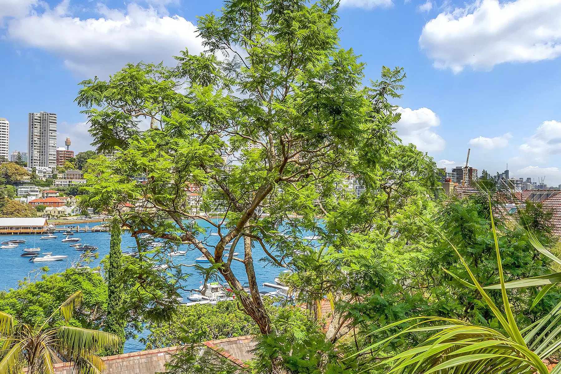 15/532 New South Head Road, Double Bay Leased by Bradfield Badgerfox - image 1