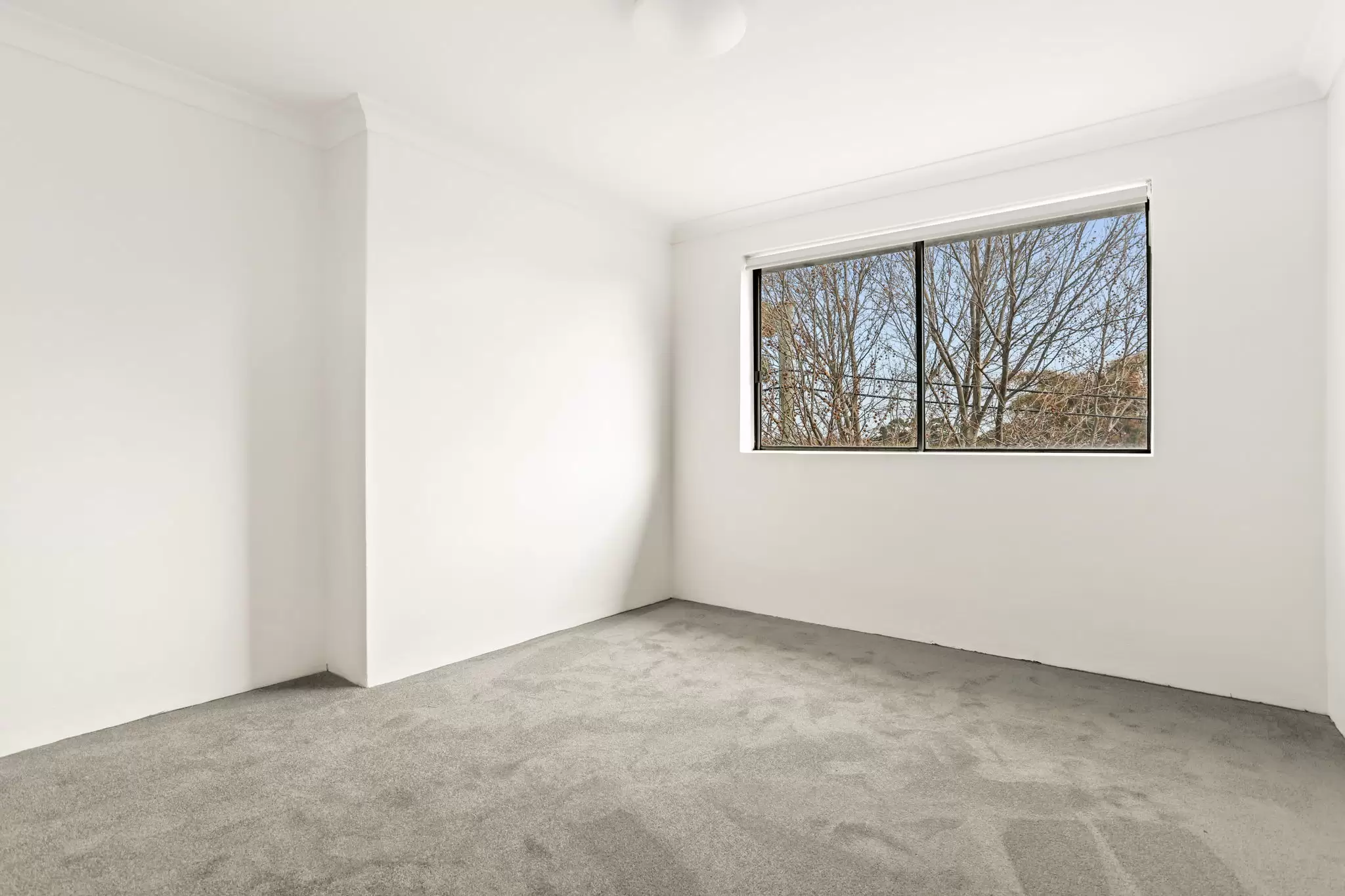 5/56 Rhodes Street, Hillsdale Leased by Bradfield Badgerfox - image 1