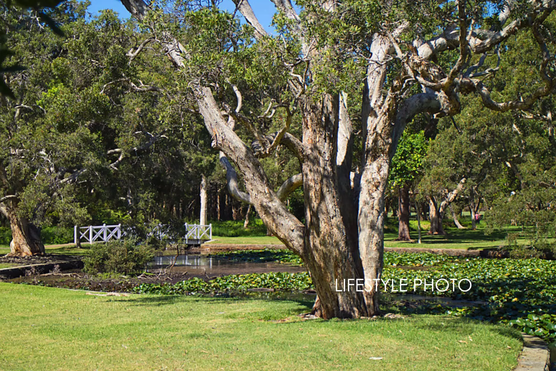 2/69-87 Dangar Street, Randwick Sold by Bradfield Badgerfox - image 1