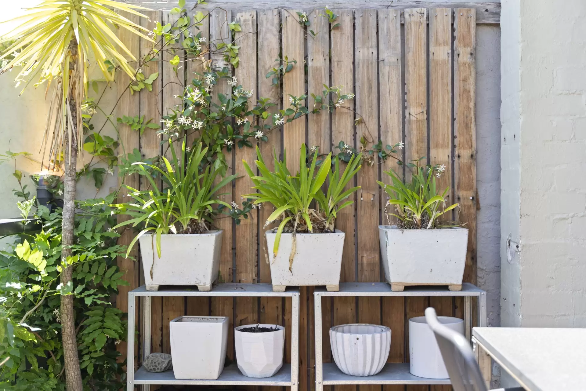 37 Fletcher Street, Woollahra Sold by Bradfield Badgerfox - image 1