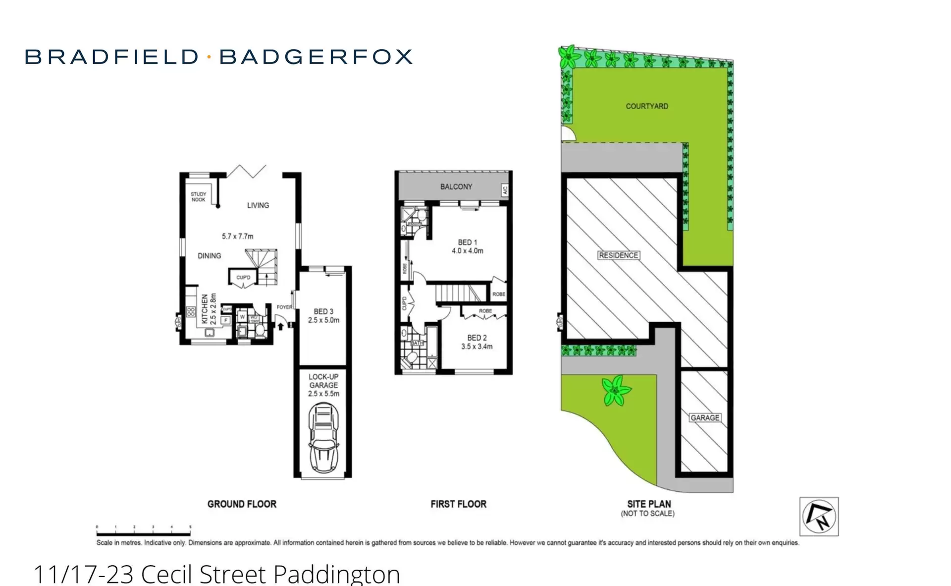 11/17-23 Cecil Street, Paddington For Lease by Bradfield Badgerfox - image 1