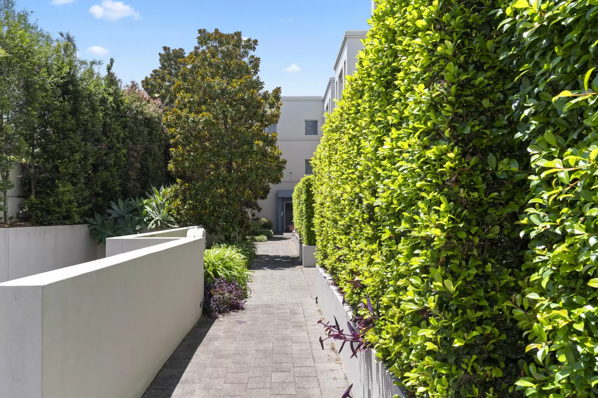 23/306-312 Bronte Road, Waverley Sold by Bradfield Badgerfox - image 1
