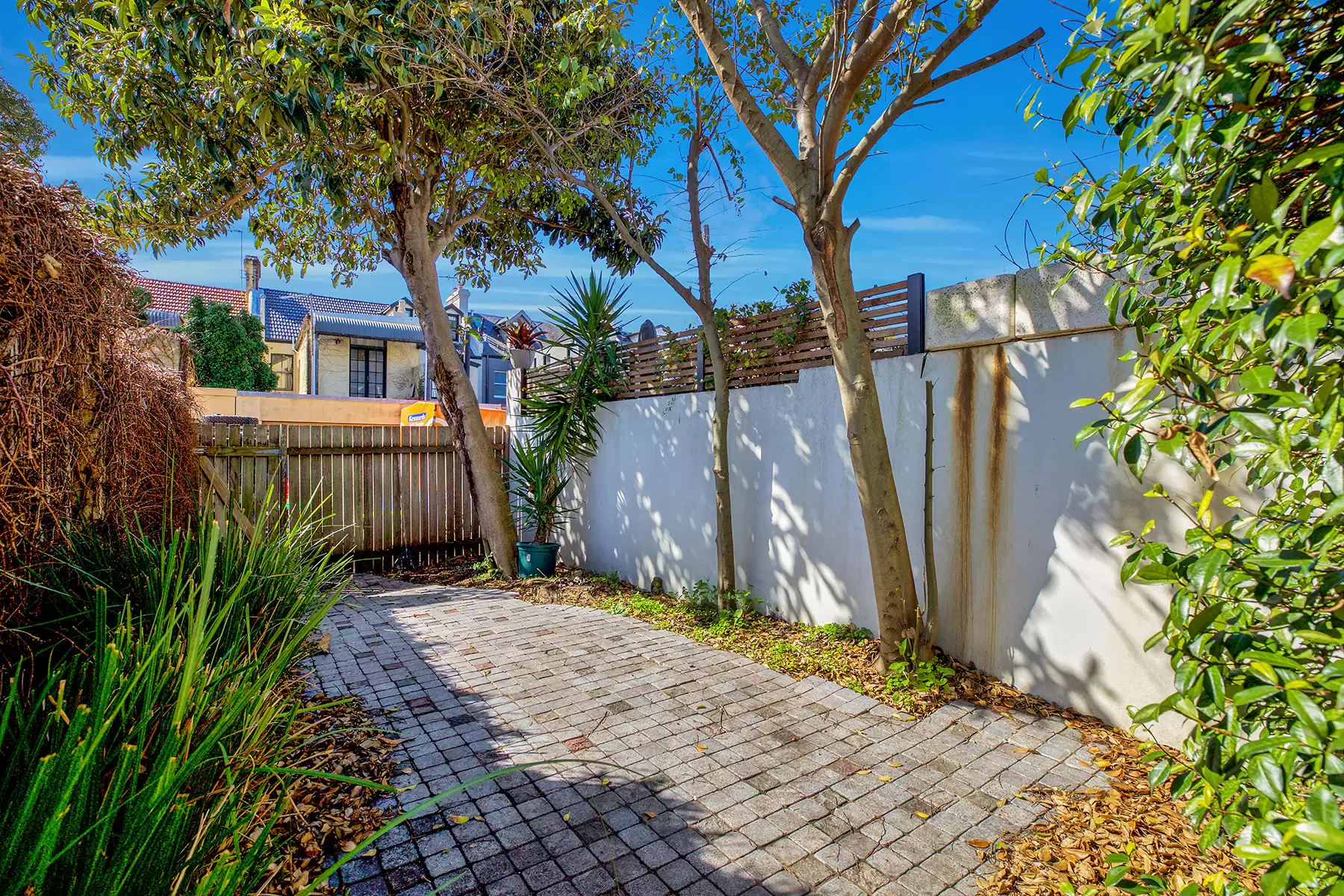 8 Dudley Street, Paddington Sold by Bradfield Badgerfox - image 1