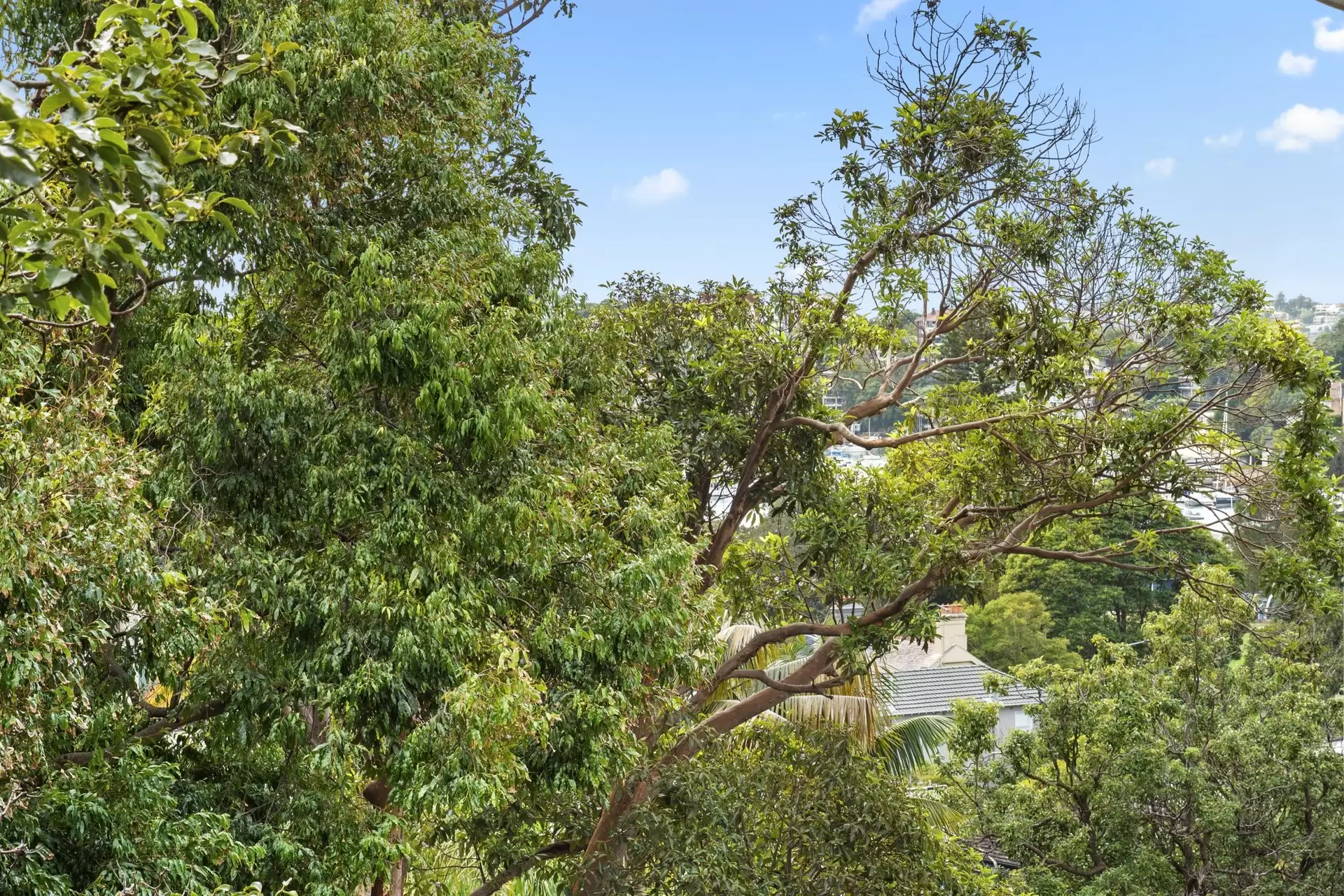 5E/45 Ocean Avenue, Double Bay Sold by Bradfield Badgerfox - image 1