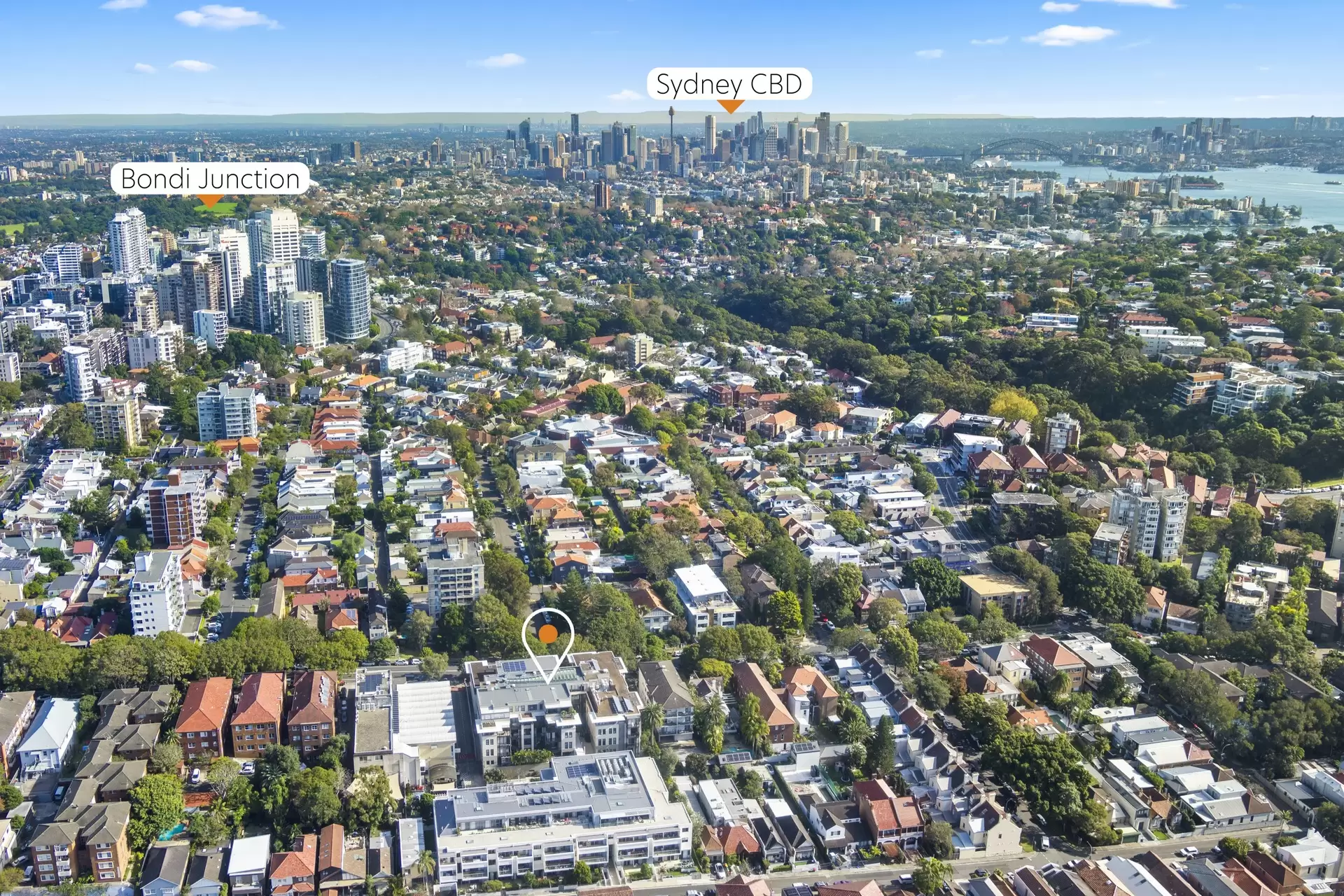 1/24-32 Flood Street, Bondi Sold by Bradfield Badgerfox - image 1