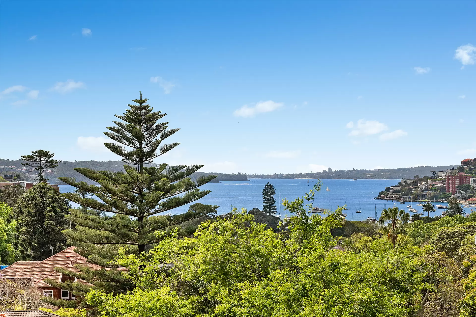 6/230-238 New South Head Road, Edgecliff Sold by Bradfield Badgerfox - image 1
