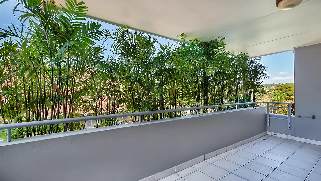 20/17 Newcastle Street, Rose Bay Leased by Bradfield Badgerfox - image 1