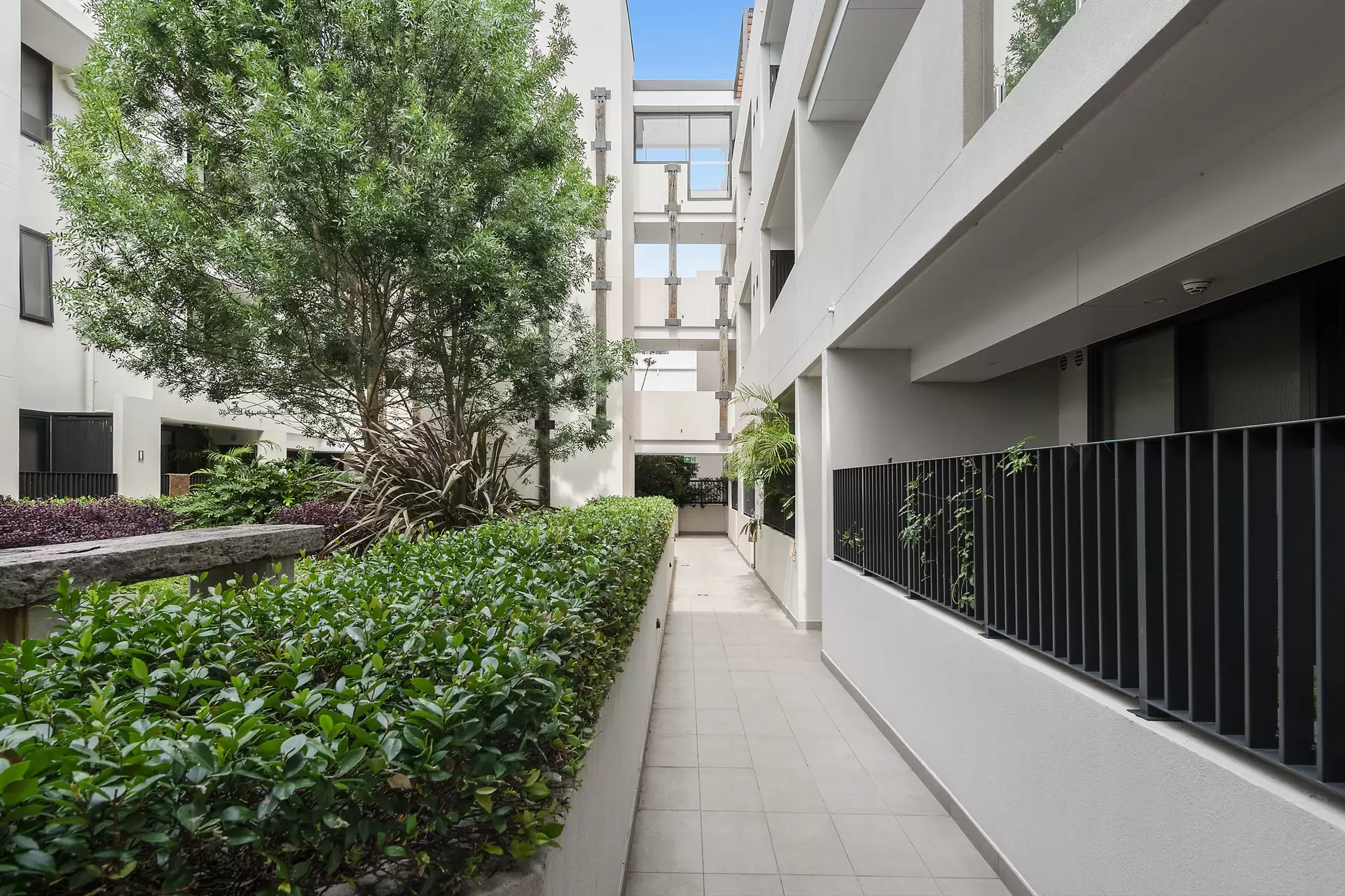 33/6 Danks Street, Waterloo Sold by Bradfield Badgerfox - image 1