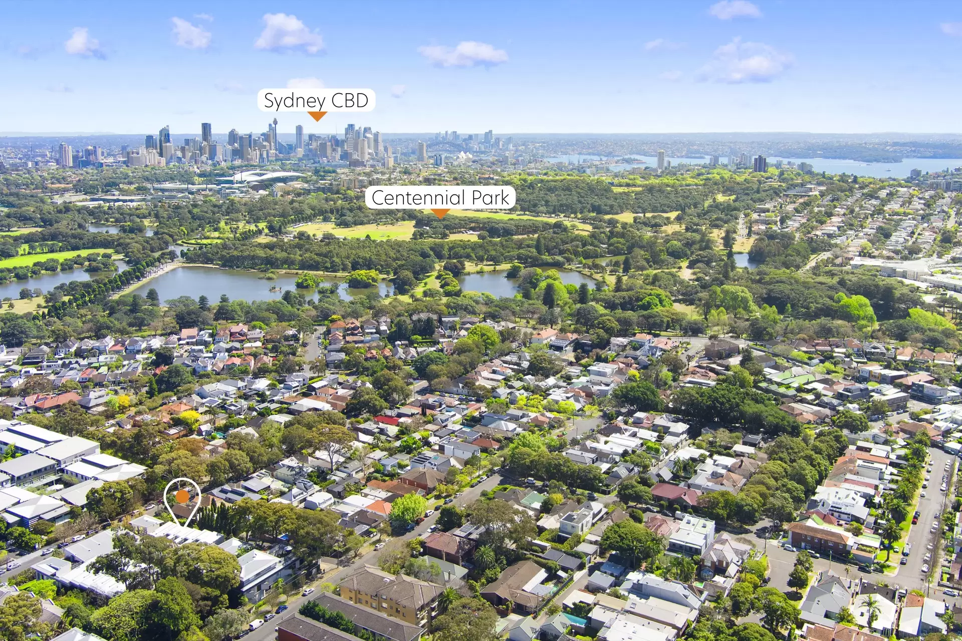3/69-87 Dangar Street, Randwick Sold by Bradfield Badgerfox - image 1