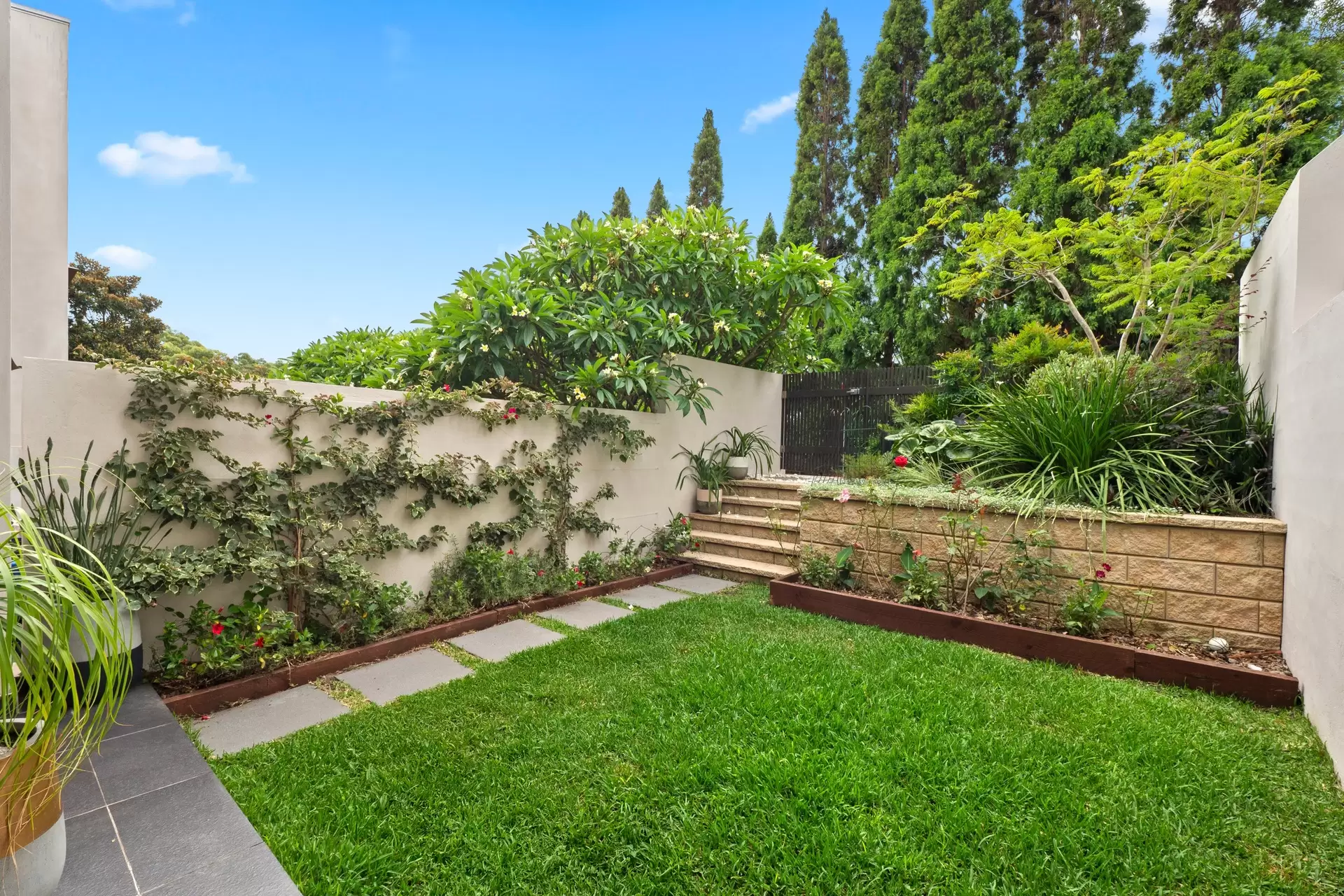 3/69-87 Dangar Street, Randwick Sold by Bradfield Badgerfox - image 1