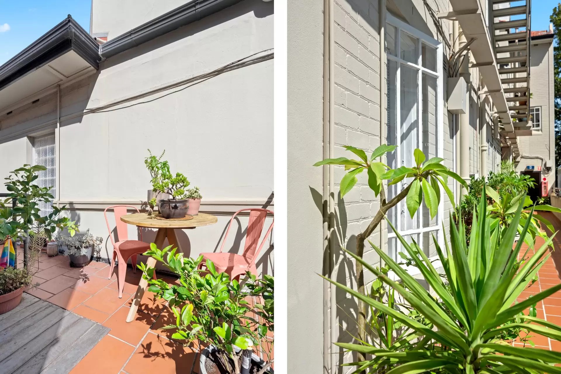 8/342 Bourke Street, Surry Hills Sold by Bradfield Badgerfox - image 1