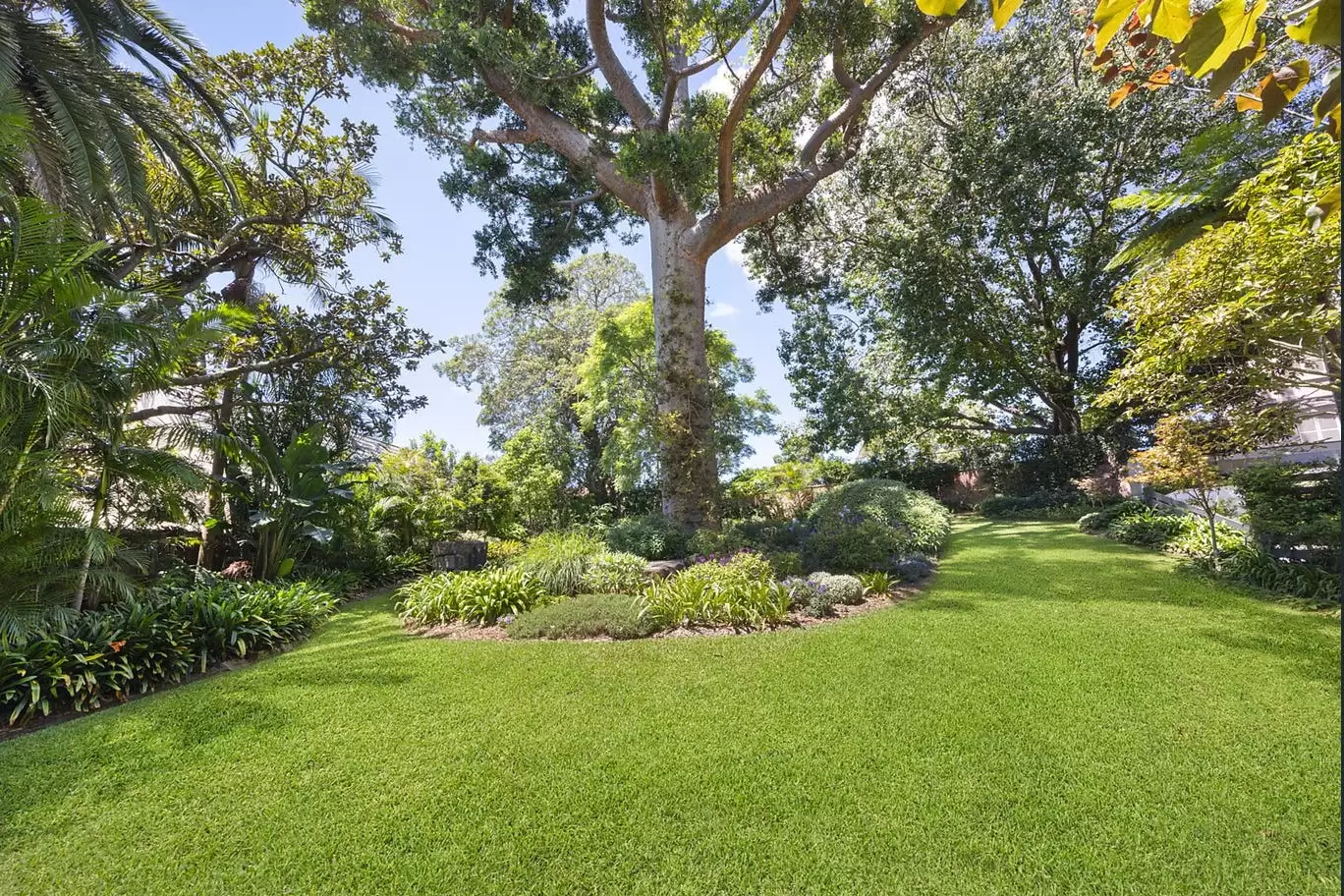 15/16-18 Rosemont Avenue, Woollahra Leased by Bradfield Badgerfox - image 1