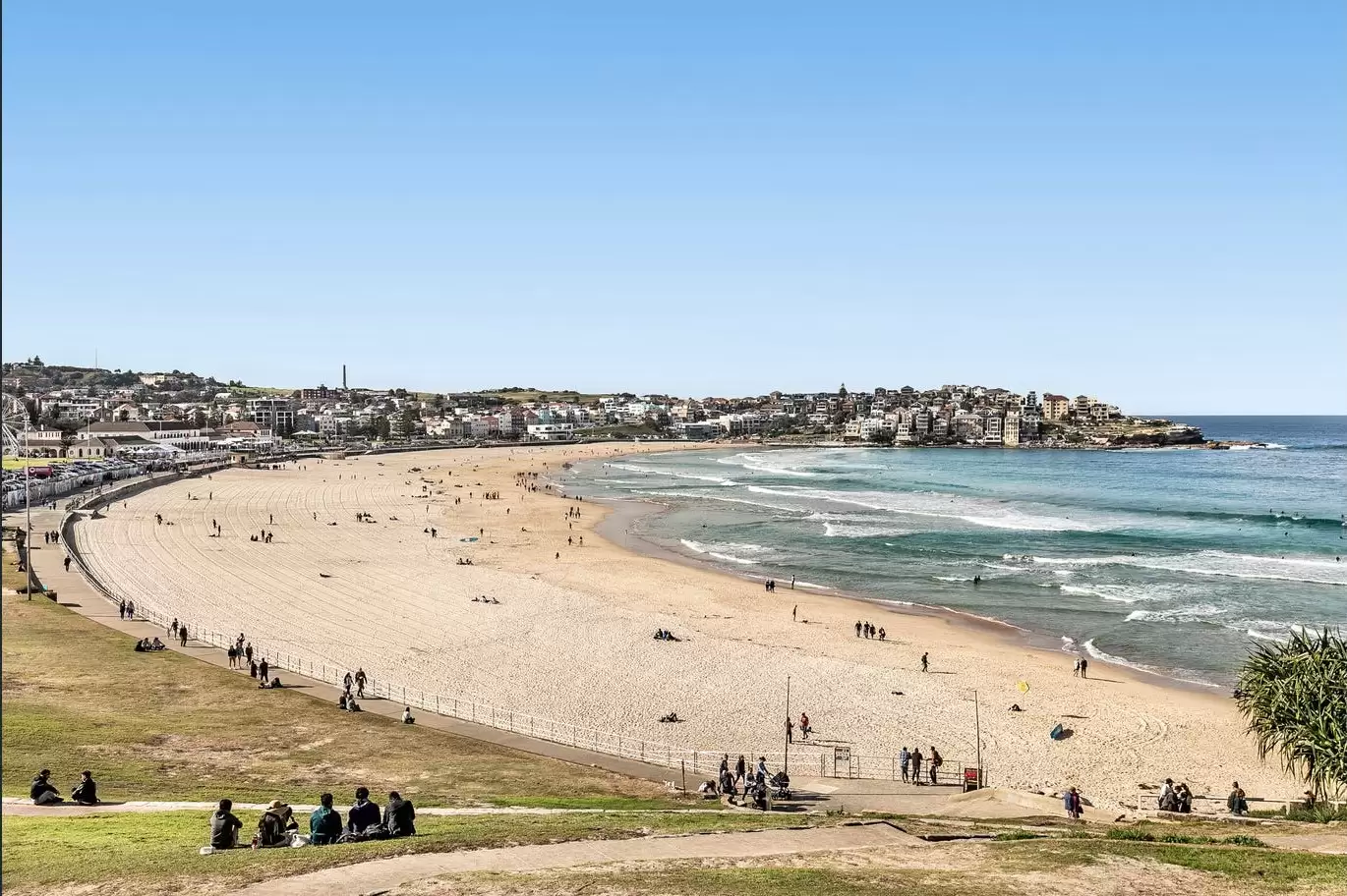 1/7 Penkivil Street, Bondi For Lease by Bradfield Badgerfox - image 1