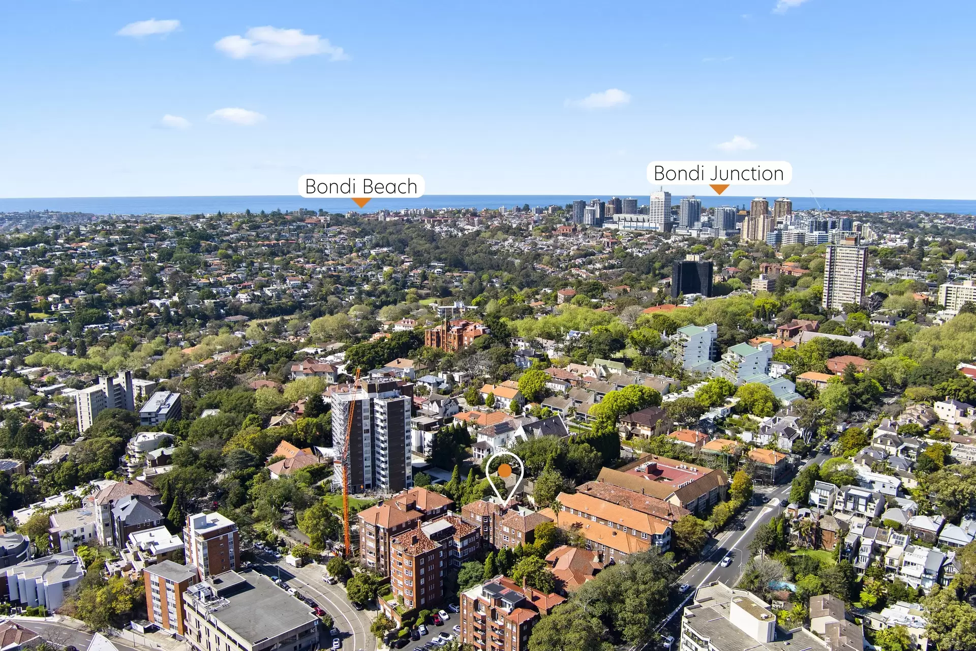 11/454 Edgecliff Road, Edgecliff Sold by Bradfield Badgerfox - image 1