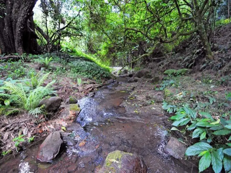 230 Brogers Creek Road, Berry Sold by Bradfield Badgerfox - image 1