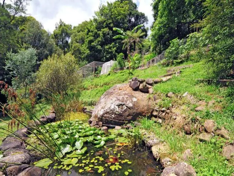 230 Brogers Creek Road, Berry Sold by Bradfield Badgerfox - image 1