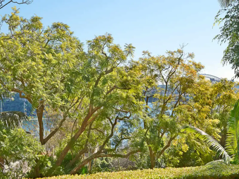 2/10 Yarranabbe Road, Darling Point Sold by Bradfield Badgerfox - image 1
