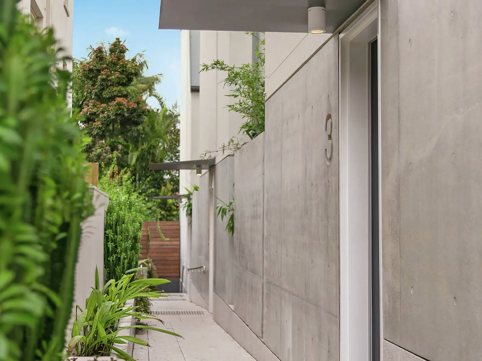 3/34 Curlewis Street, Bondi Beach Sold by Bradfield Badgerfox - image 1